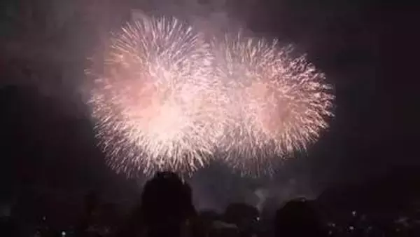 花火イベント「盛岡どんぱ」高松公園での開催終了　盛岡市「これまでの状況踏まえ使用を許可できなかった」　岩手県