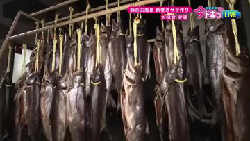 潮風に揺れる”新巻鮭のカーテン”…師走の風景　発祥の地とされる大槌町で伝統的な新巻きザケ作り　岩手県