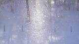 「【動画あり】氷点下の芸術 「ダイヤモンドダスト」盛岡市薮川でー19.9℃　訪れた人「お金で買えないもの、絶景」　岩手県」の画像1
