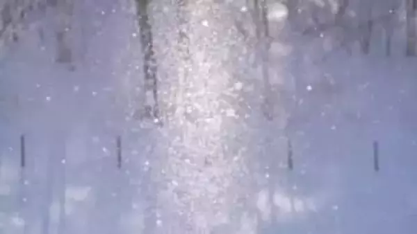 【動画あり】氷点下の芸術 「ダイヤモンドダスト」盛岡市薮川でー19.9℃　訪れた人「お金で買えないもの、絶景」　岩手県