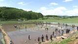 「「田んぼアート」の田植え　デザインはコメ作りを題材にした人気ゲームのキャラクター　岩手県岩手町」の画像1