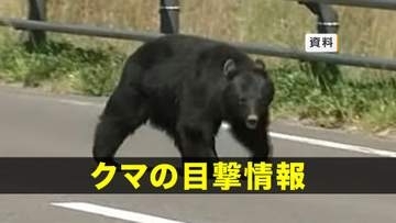 【クマ目撃】盛岡市立綱取スポーツセンター付近でクマ1頭目撃　岩手県