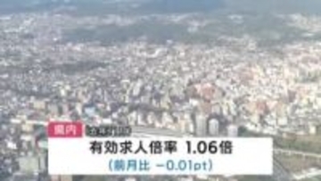 有効求人倍率5ヵ月連続で前月を下回る　2025年11月1.06倍　岩手県