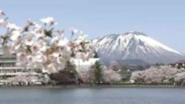 岩手山とサクラが一度に楽しめるロケーション　盛岡市・高松公園「さくらまつり」開催　昼と夜それぞれ違ったサクラを！岩手県