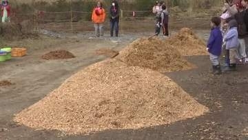 被災木のチップ 敷き詰める催し　4月に山林火災発生の大槌町　岩手県