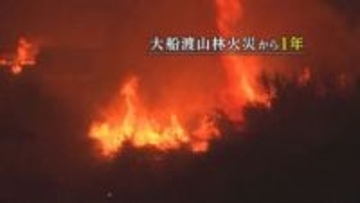 大船渡市の“平成以降国内最大”山林火災から1年　復興の課題は今も山積　岩手県