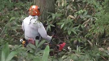 野生動物が暮らしやすい環境を　盛岡市動物公園ＺＯＯＭＯが「里山」再生へ下草刈り払い　岩手県