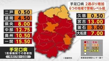 「手足口病」2週ぶり増加　6つの地域で警報レベル超　岩手県