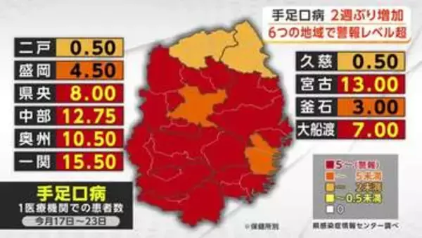 「手足口病」2週ぶり増加　6つの地域で警報レベル超　岩手県