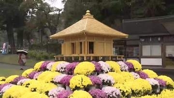 平泉の秋「中尊寺菊まつり」が開幕　「菊金色堂」も展示　見ごろは11月上旬ごろの見込み　岩手県
