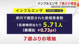 「インフルエンザ新規患者数7週ぶり増加　新型コロナも増加　岩手県」の画像1