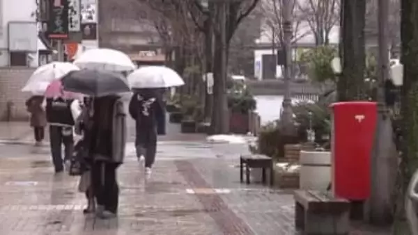 内陸を中心に雪　12日にかけて大雪に警戒　交通障害や屋根からの落雪などに注意　岩手県