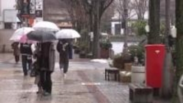 内陸を中心に雪　12日にかけて大雪に警戒　交通障害や屋根からの落雪などに注意　岩手県