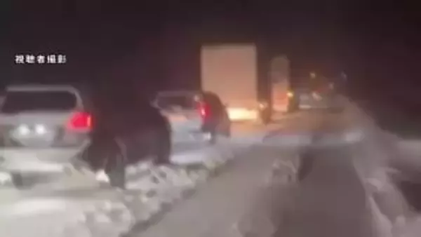 強いふぶきの中、数十台が車内で一夜明かす…雪でスタック相次ぎ立ち往生　八幡平市の国道、20kmが約20時間通行止めに　岩手