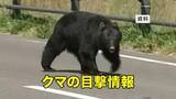 「【クマ目撃】盛岡市の太田橋付近の畑でクマ1頭目撃　岩手県」の画像1