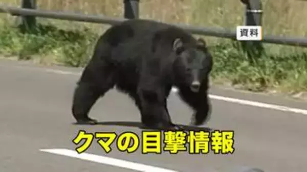 【クマ目撃】盛岡市の太田橋付近の畑でクマ1頭目撃　岩手県