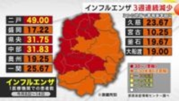 インフルエンザ、3つの地域で警報基準超え　減少傾向でも引き続き感染対策を　岩手県