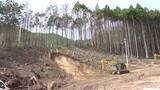 「大船渡山林火災1年半　200ha復旧近く発注へ　平成以降最大規模　岩手県」の画像1