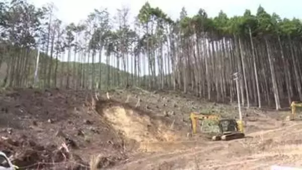 大船渡山林火災1年半　200ha復旧近く発注へ　平成以降最大規模　岩手県