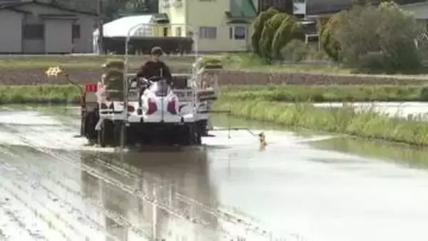 田植え進捗率、最も進んでいる「北上川下流」で75％　概ね適期で進む　岩手県