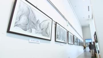 穏やかで激しい“闘牛”の水墨画展　6月に久慈で全国闘牛サミット　岩手県滝沢市