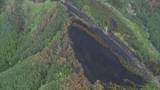 「岩手・大槌町山林火災 「樹冠火」で延焼拡大か　林野庁が調査結果公表」の画像1