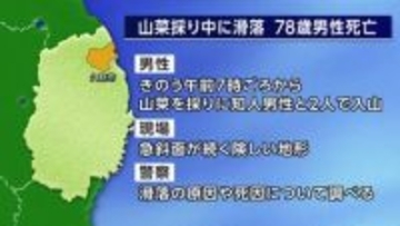 山菜採り中に滑落し78歳男性死亡　岩手・久慈市の山林