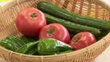 「夏野菜の出発式　キュウリやトマトなどの出荷が本格化　岩手県奥州市」の画像1