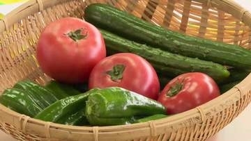 夏野菜の出発式　キュウリやトマトなどの出荷が本格化　岩手県奥州市