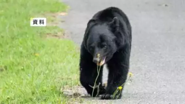 クマが住宅敷地内倉庫の戸を破壊し侵入　コメぬかを食べられる　岩手県北上市