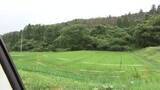 「クマの親子3頭と遭遇　腹を引っかかれ77歳男性けが　スコップで反攻　岩手県」の画像1