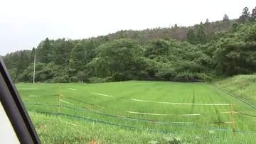 クマの親子3頭と遭遇　腹を引っかかれ77歳男性けが　スコップで反攻　岩手県