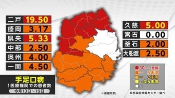 手足口病の新規患者数　前週比2.5倍　3地域で警報基準超え　岩手県