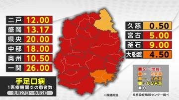 手足口病の新規患者が岩手県内ほぼ倍増　1医療機関12.81人
