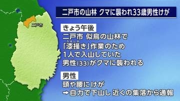 クマに襲われ33歳男性けが、「漆掻き」のため入山　襲ったクマは成獣とみられ付近に子グマの姿も　岩手・二戸市