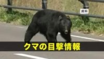 【クマ目撃】盛岡市三ツ割でクマ1頭目撃　国道455号線と松園方向に向かう市道の分かれ道付近　岩手県