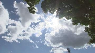 岩手県内に今年初 熱中症警戒アラート　真夏日30地点　7人が病院搬送