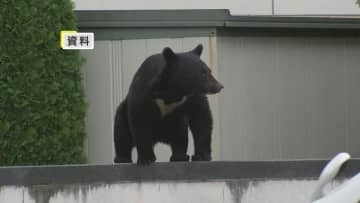 物価高やクマ対策など477億円の補正予算案　クマ出没情報確認できるアプリ製作費用など　過去最大規模　酒米の補助も　岩手県