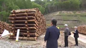 大船渡市の被災木活用促進へチーム発足　平成以降最大の山林火災から再生へ　岩手県