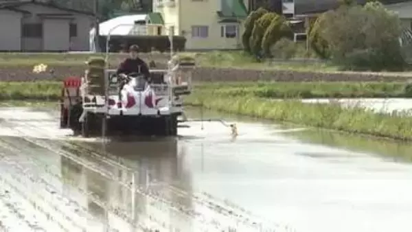 奥州市で田植え始まる　コメ価格「先行き見通せず」　岩手県