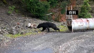 三重県亀山市で登山者からクマの出没情報