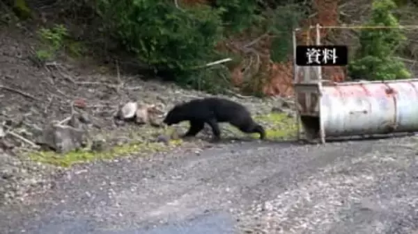三重県亀山市で登山者からクマの出没情報