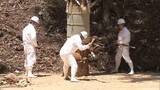 「式年遷宮へ御用材伐採　長野で仮御樋代木伐採式」の画像1