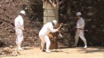 式年遷宮へ御用材伐採　長野で仮御樋代木伐採式
