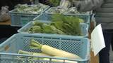 「高校生が生産した農産物などがお値打ち　「みえ環境フェア」」の画像1
