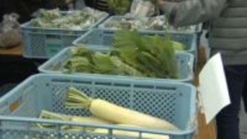 高校生が生産した農産物などがお値打ち　「みえ環境フェア」