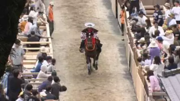 馬が坂駆け上がる　多度大社で上げ馬神事