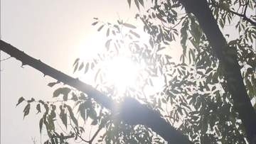 熱中症疑いで18人搬送　16日も熱中症警戒アラート