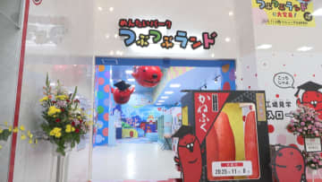 ジャンボ滑り台やボルダリング　「めんたいパークとこなめ」がリニューアル