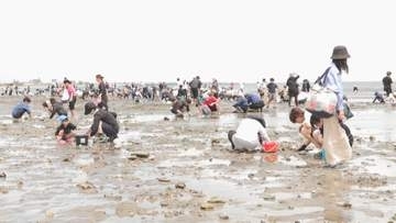 快晴のGW　津市御殿場海岸で潮干狩り客